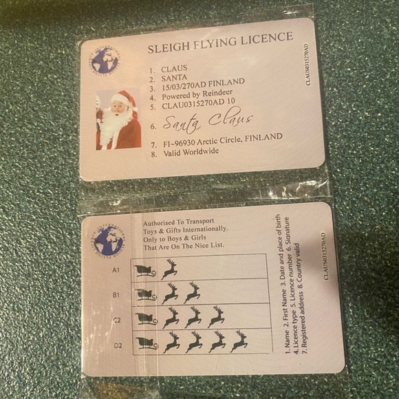 Santa Fly Card - Picture 3 of 3